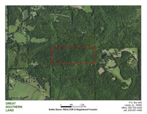land for sale in Blount County, AL
