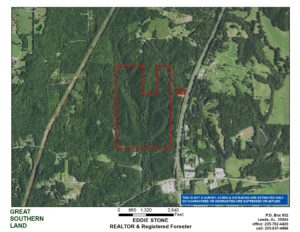 timber investment land for sale in cullman county