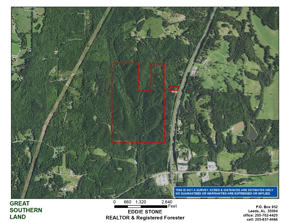 timber investment land for sale in cullman county