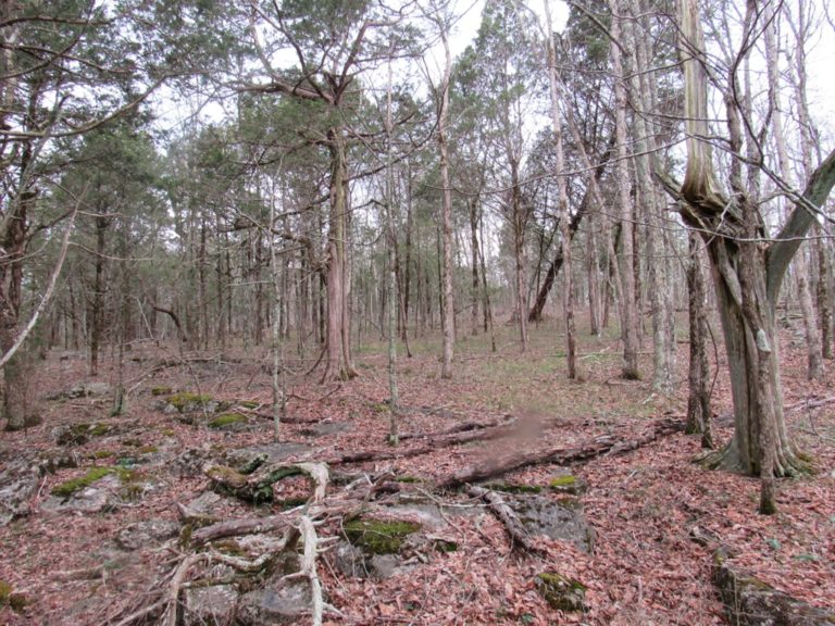 Cave for sale in Jefferson County, AL Buy Alabama Land