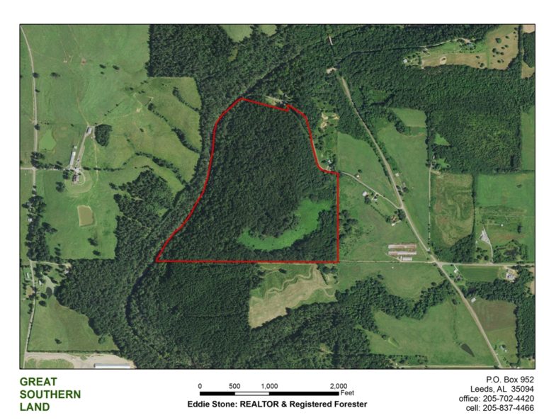 92 acres on the Mulberry Fork of the Warrior River in Blount County, AL