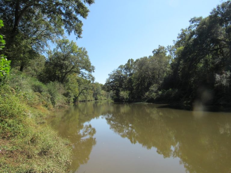 Warrior River Alabama Land For Sale