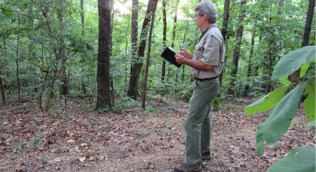 Alabama Land For Sale Eddie Stone REALTOR & Registered Forester