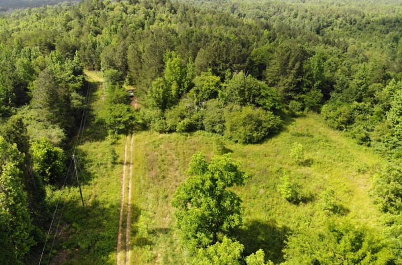 hunting land for sale blount county alabama