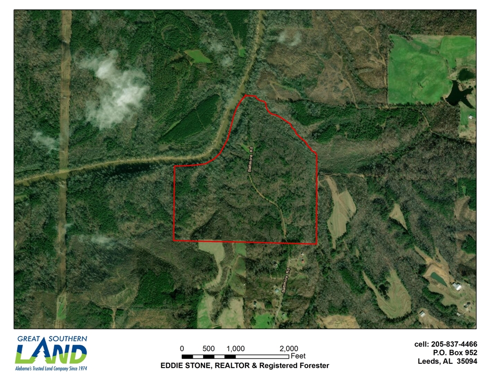 land for sale Blount County Alabama
