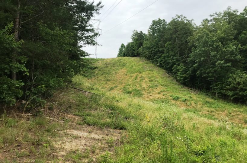 hunting land for sale in Blount County Alabama