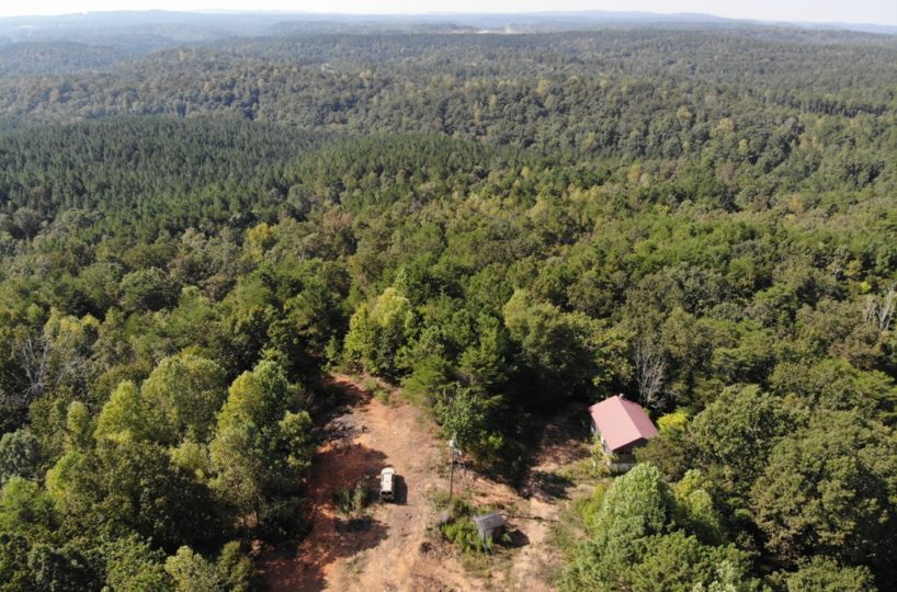 hunting land for sale in blount county