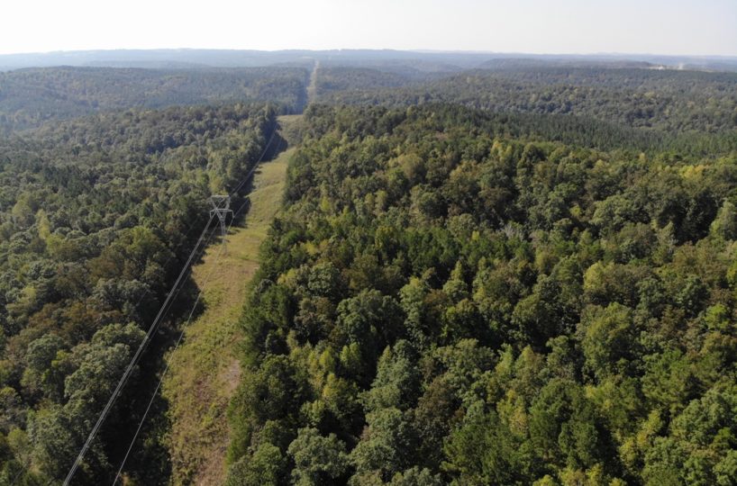 hunting land for sale in blount county