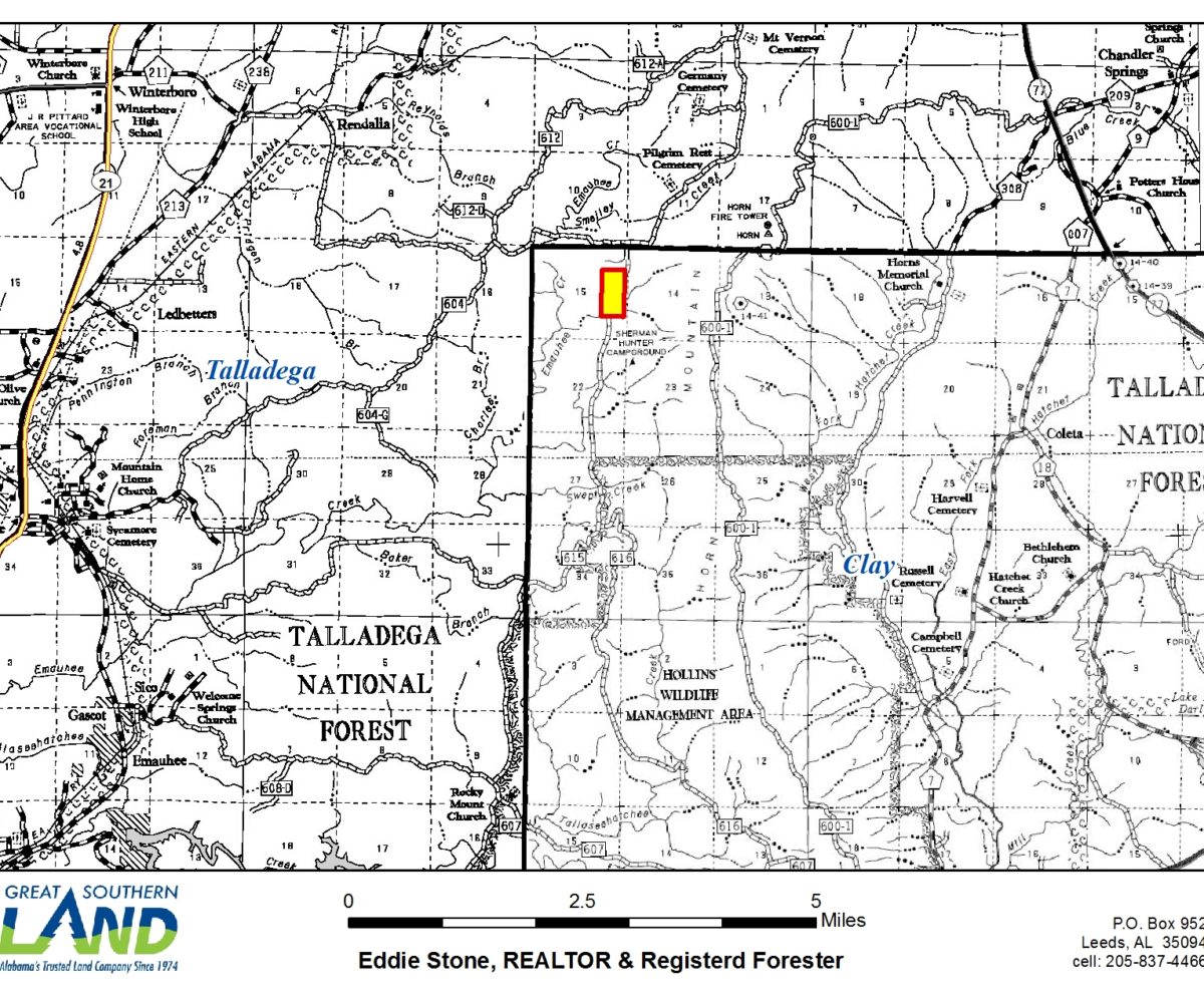 Hunting land & timber investment land for sale in Clay ...