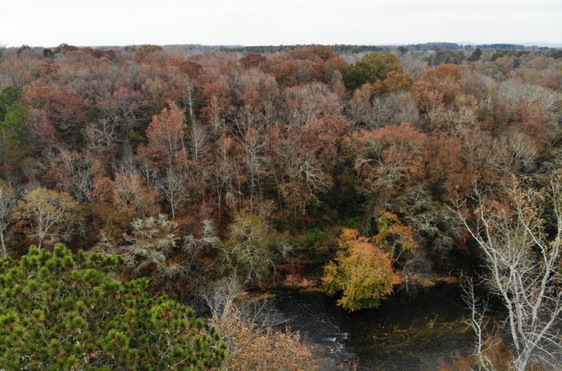 land for sale on the Locust Fork of the Warrior River Blount Count Alabama https://buyalabamaland.com/