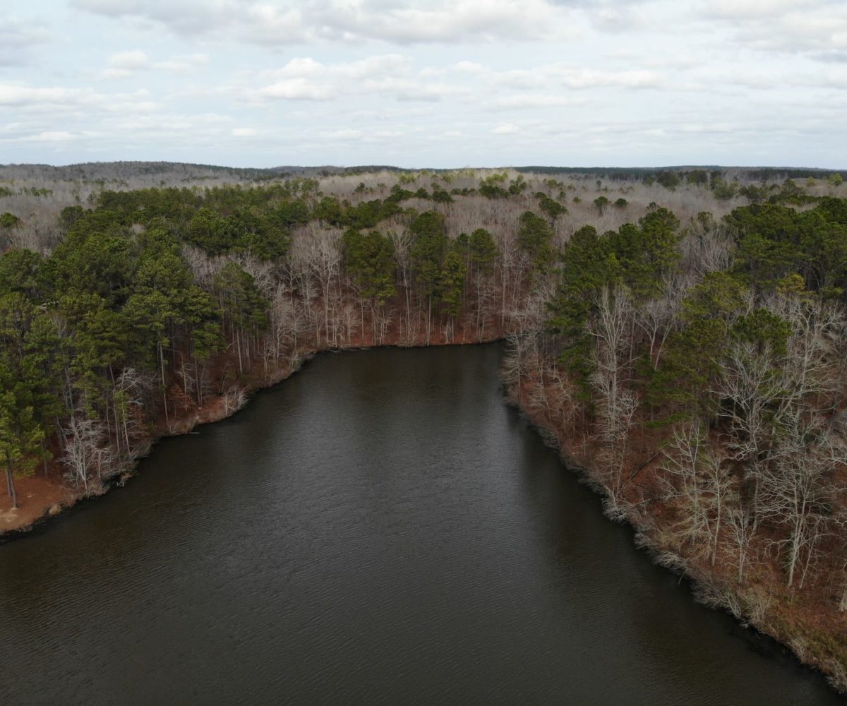 hunting fishing land for sale in coosa county alabama