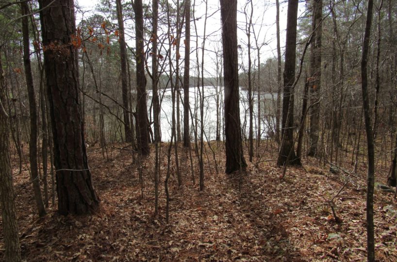 hunting land for sale in alabama realtor land for sale in coosa county