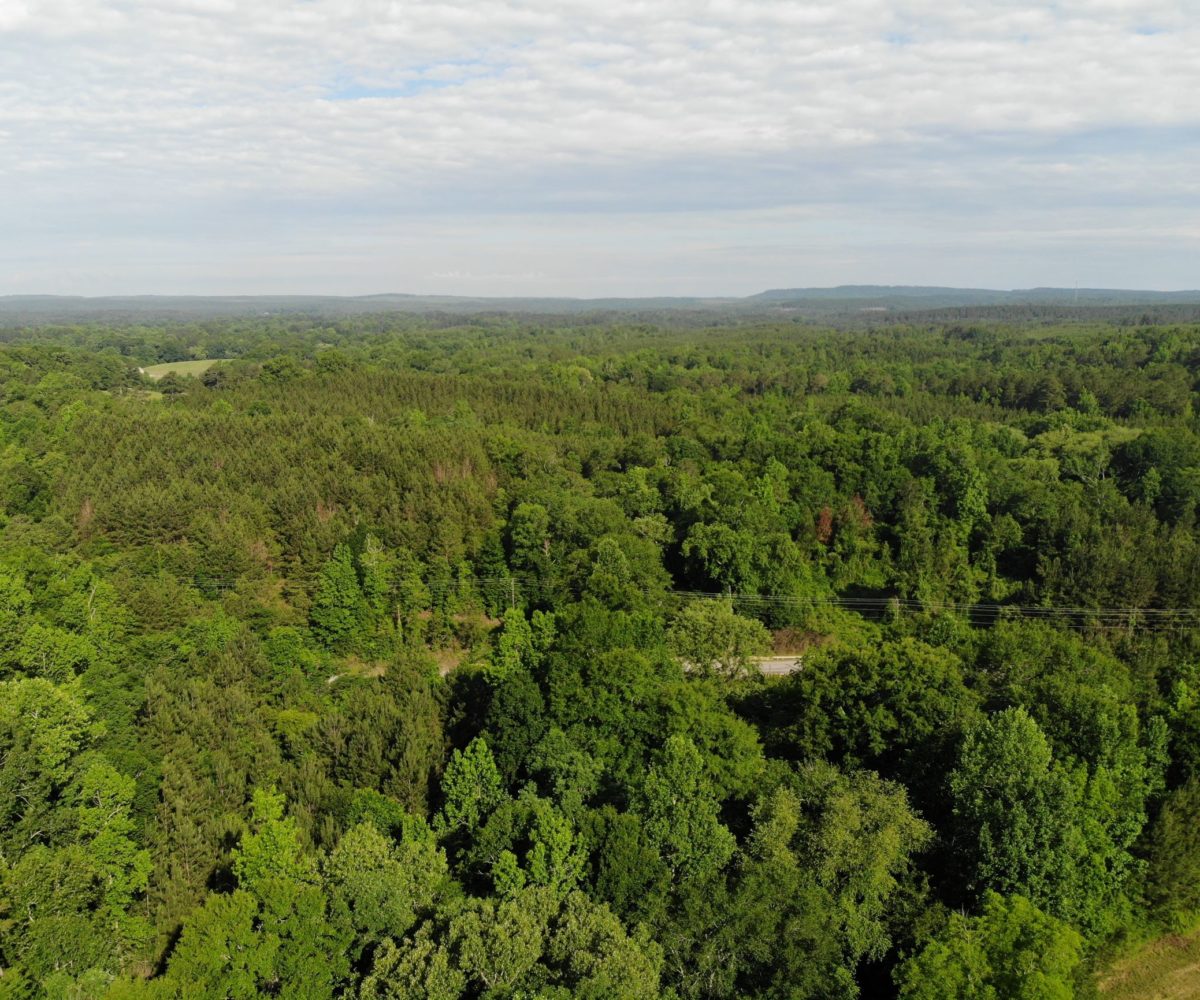 St clair county land for sale off grid land for sale in alabama