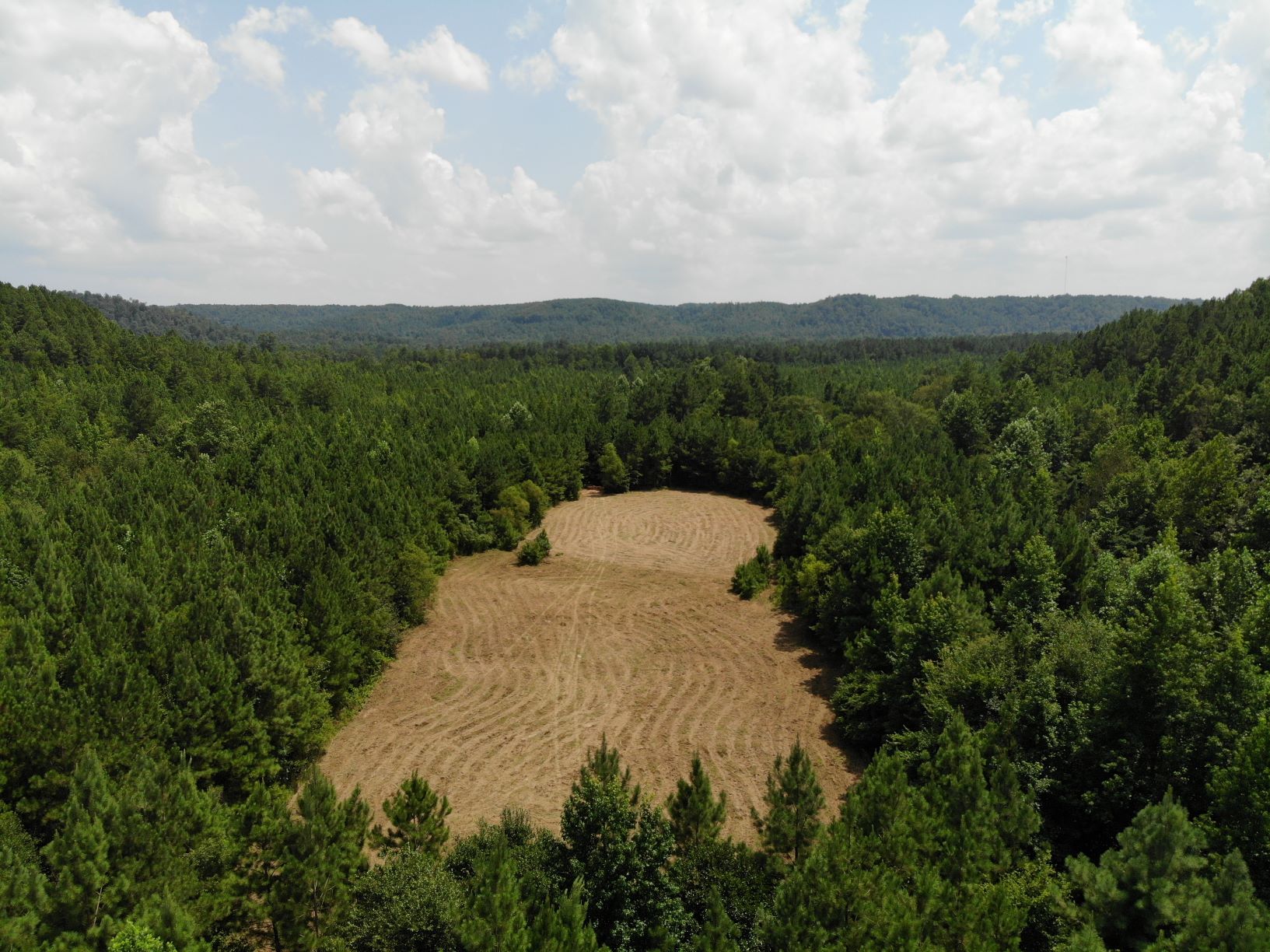 Hunting land for sale cullman county alabama - Alabama ...