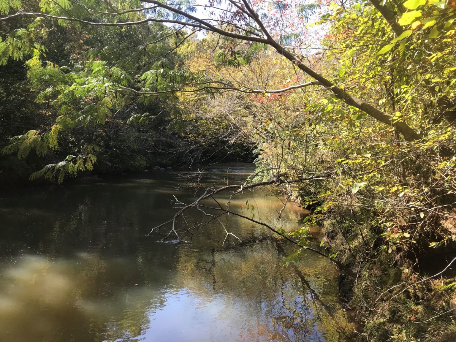 Bluff Springs Recreational Tract Alabama Land For Sale in Clay County
