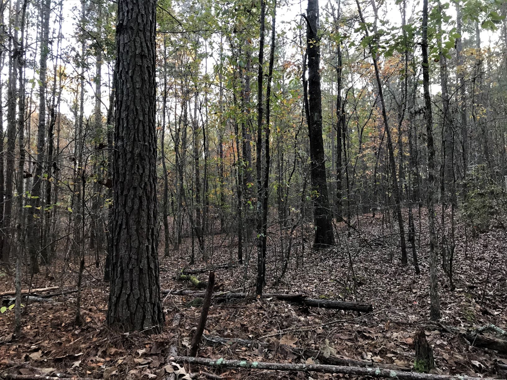 land for sale in shelby county alabama