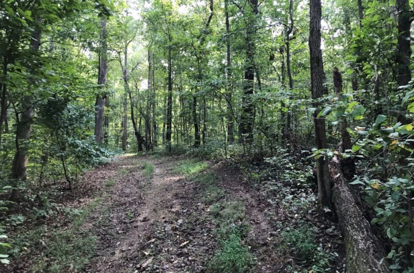 farm land for sale in blount county