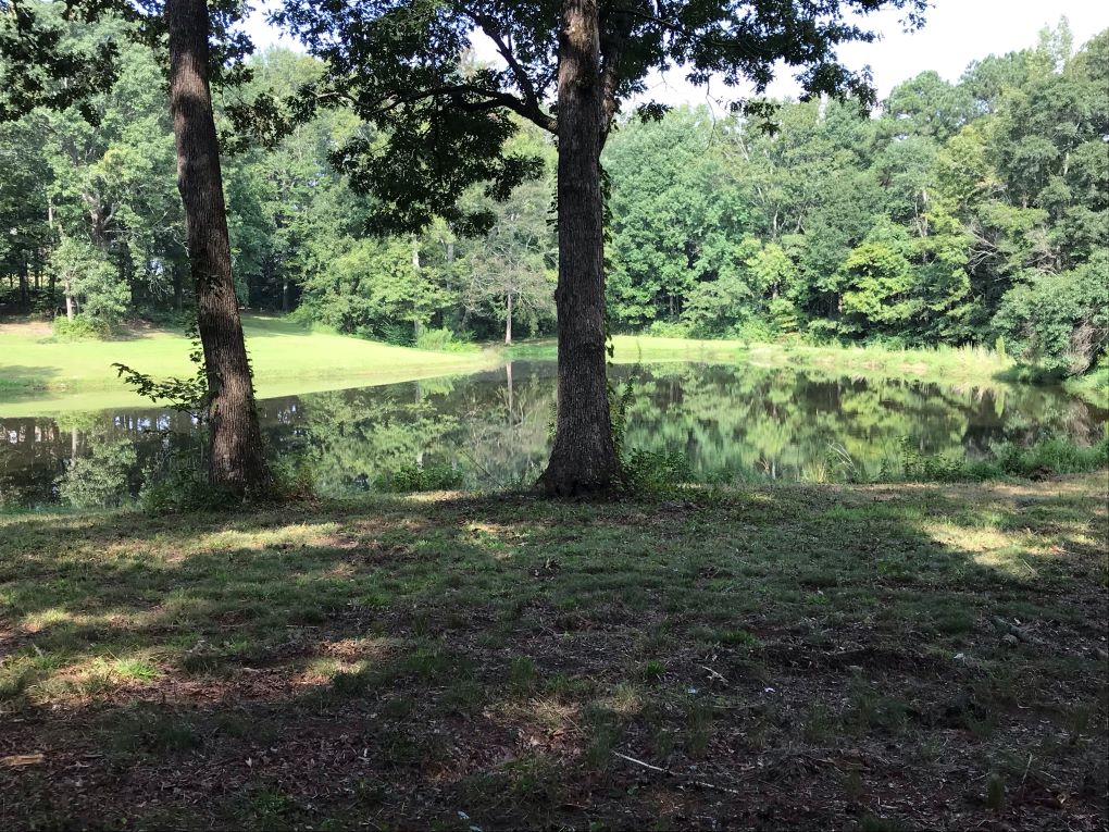farm land for sale in blount county