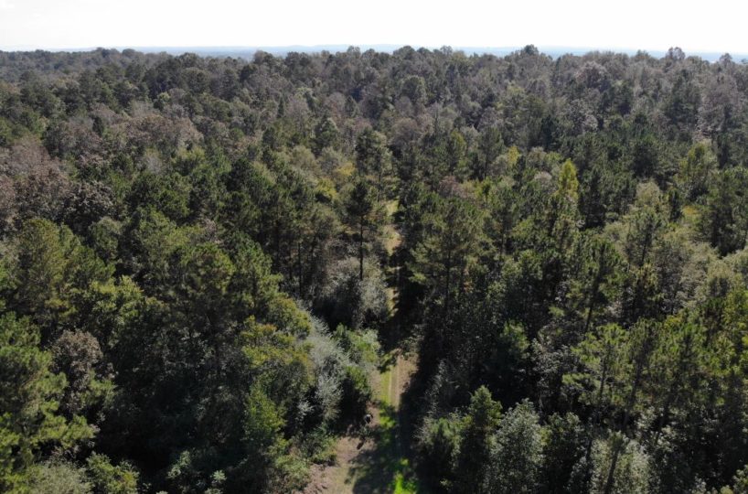 hunting land for sale st clair county alabama