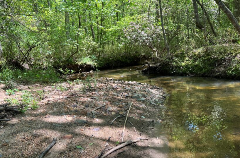 hunting land for sale in Alabama