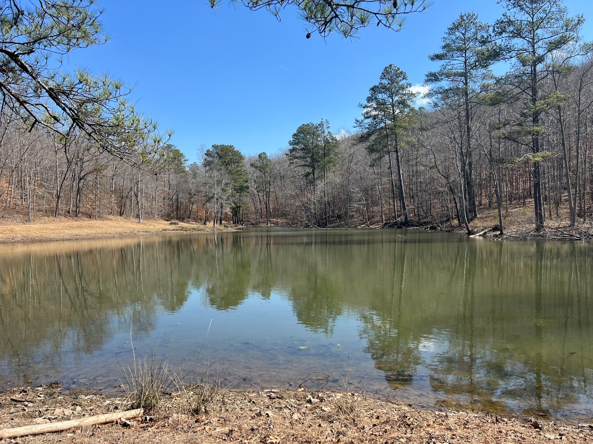 land for sale in Blount County, Alabama
