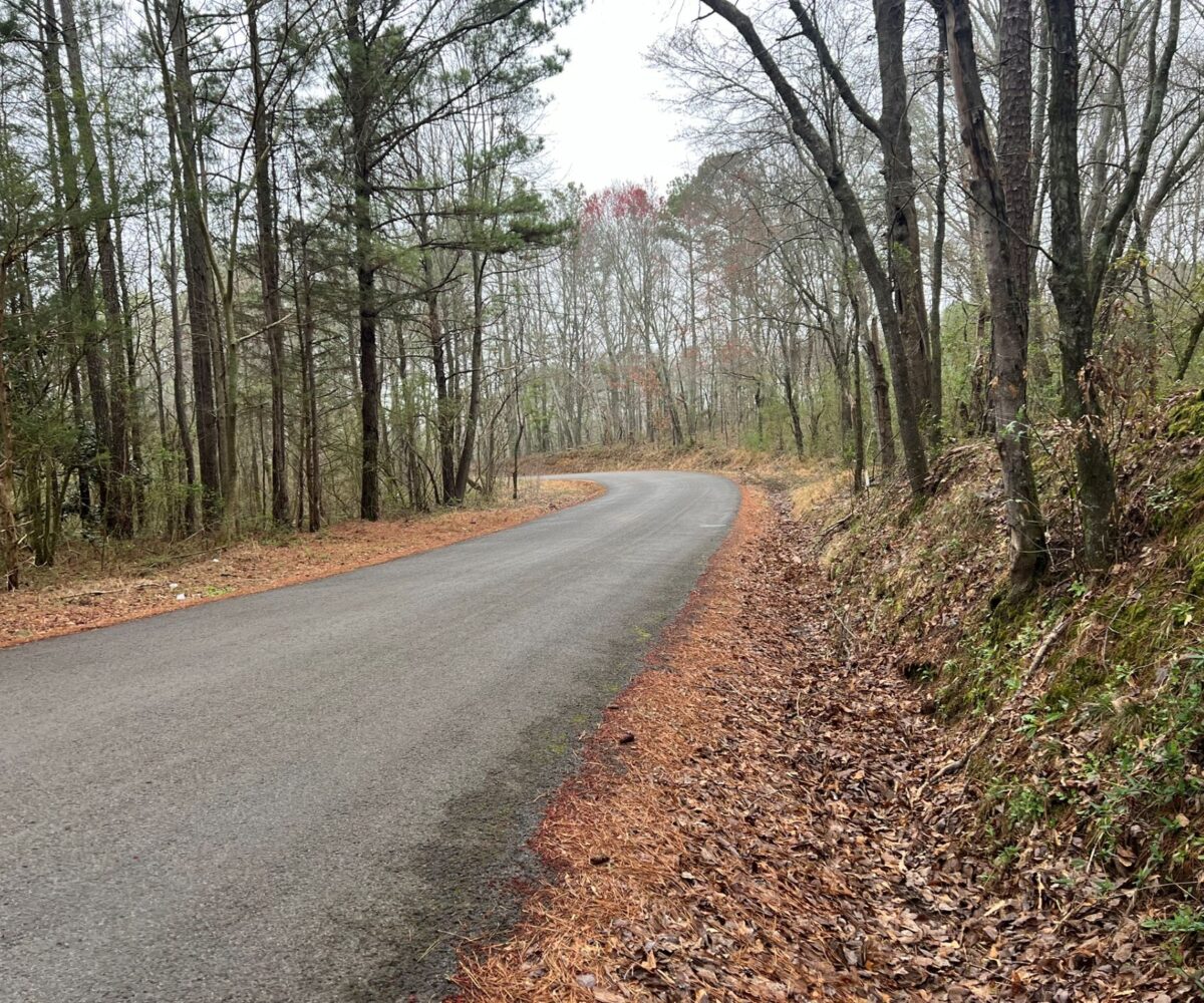 land for sale in Blount County Alabama