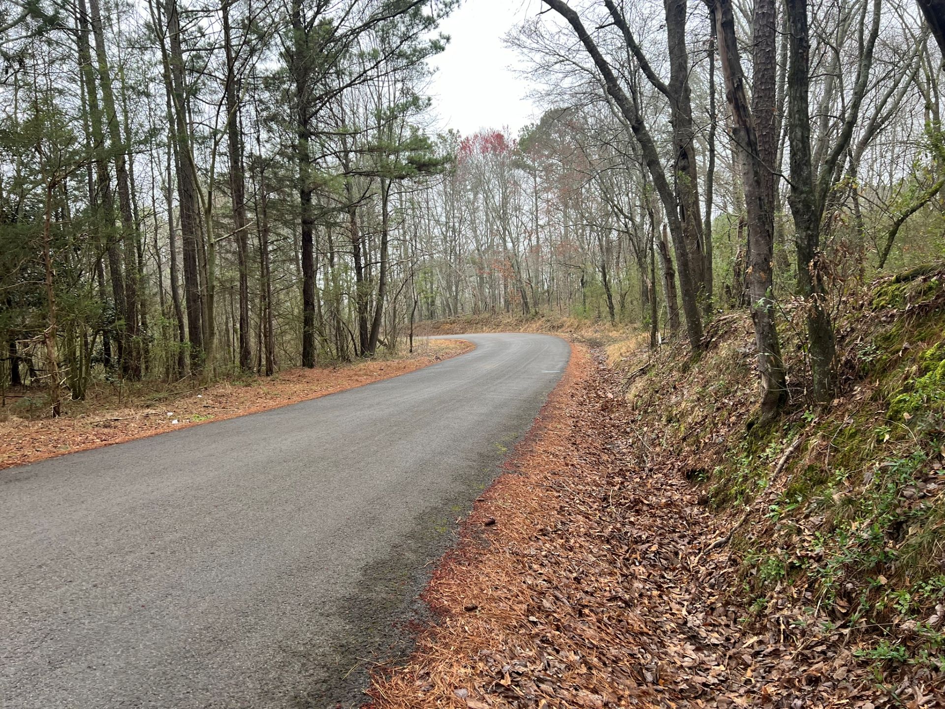 land for sale in Blount County Alabama