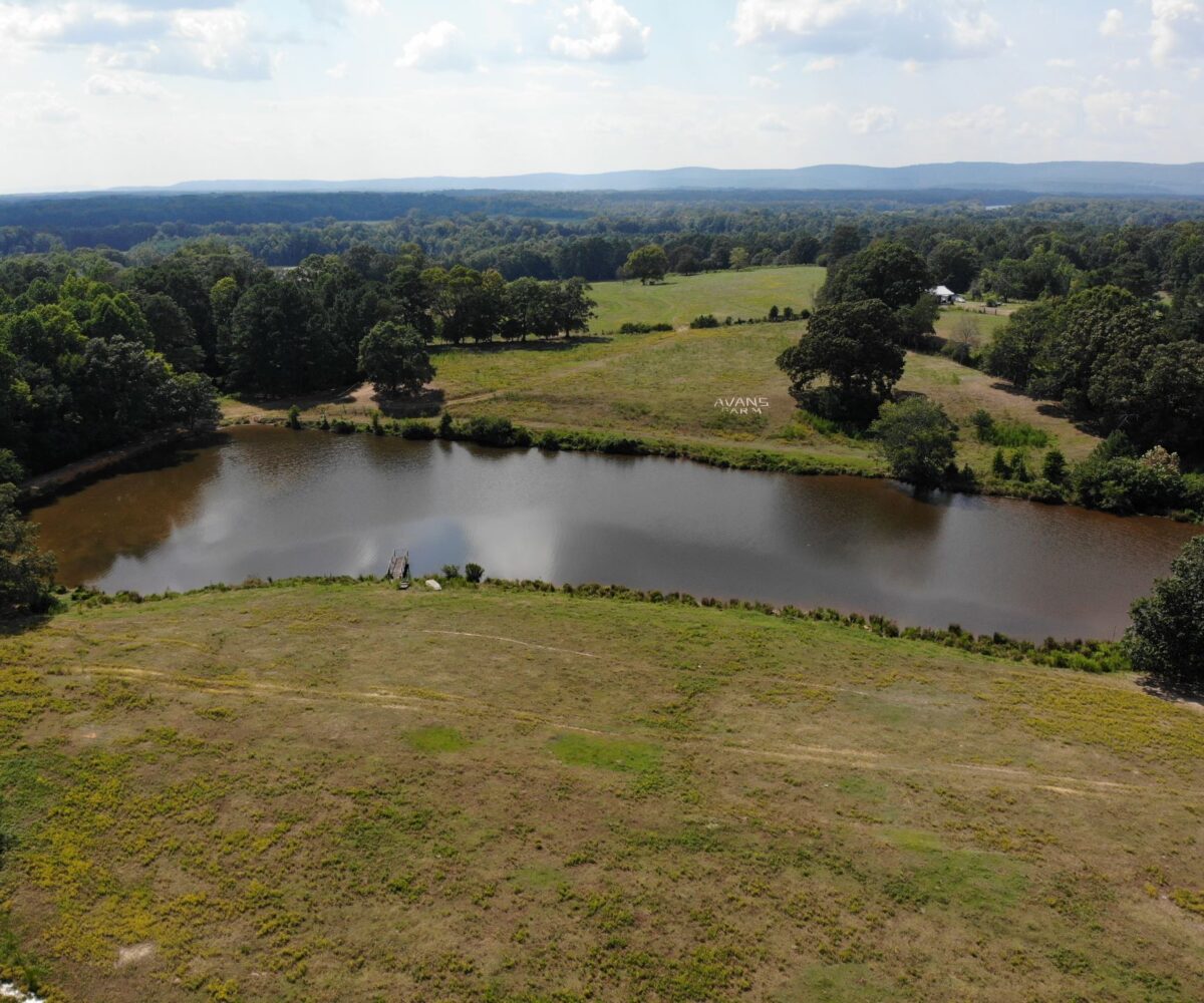 farm land for sale in Alabama