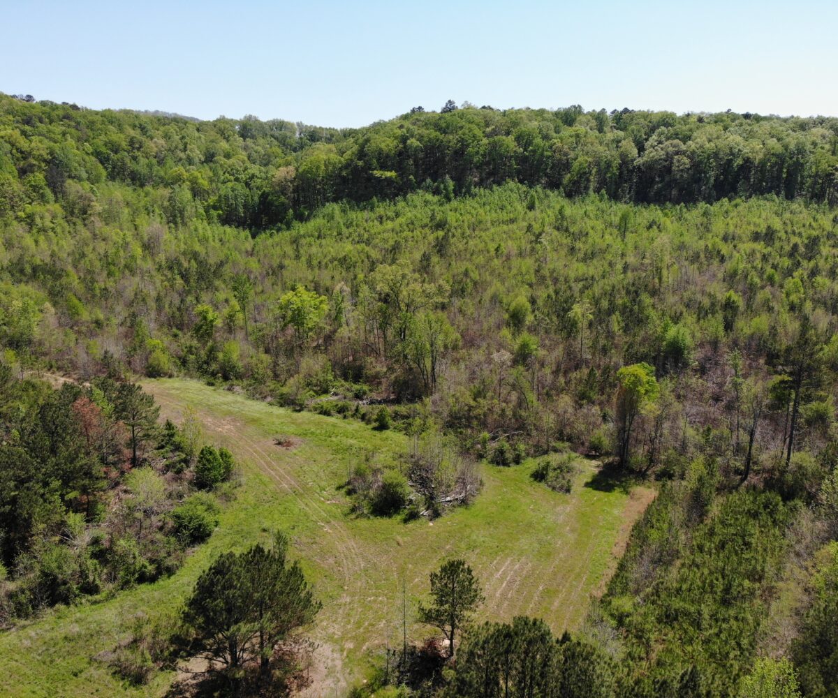 land for sale in blount county alabama