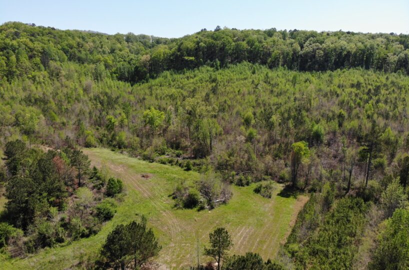 land for sale in blount county alabama