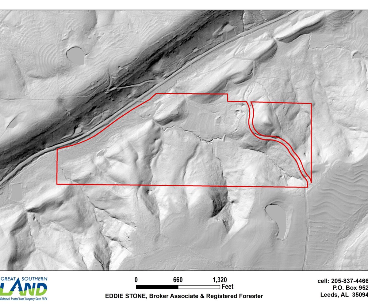 land for sale in blount county alabama