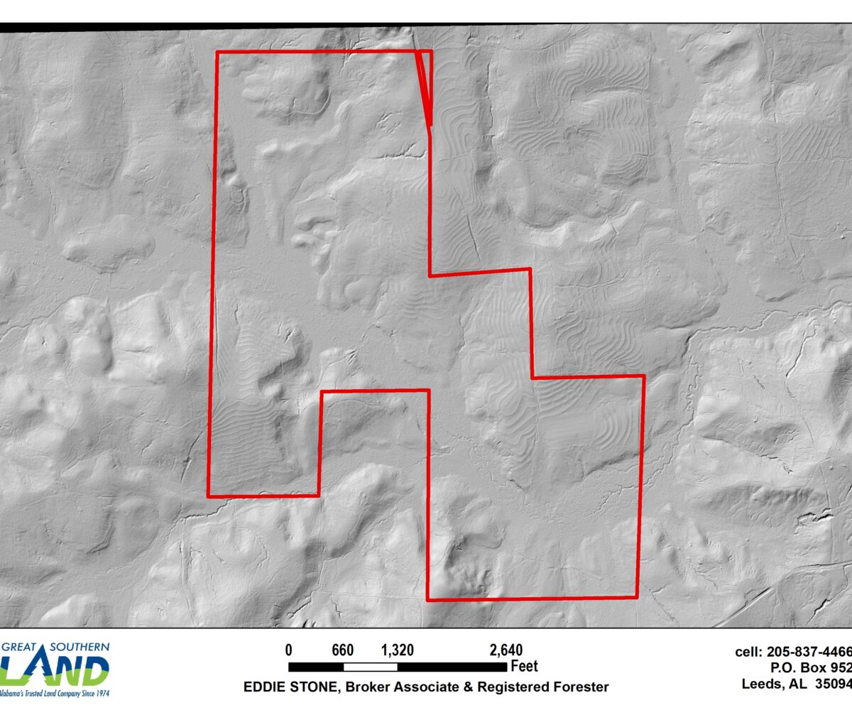 land for sale in Barbour County Alabama