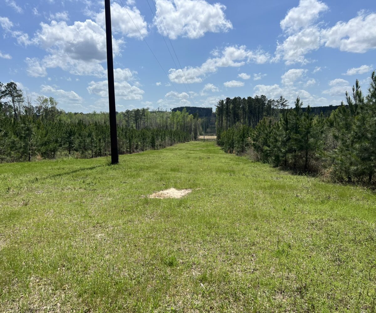 land for sale in Barbour County Alabama