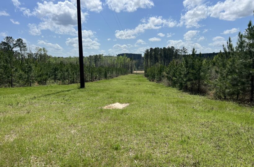 land for sale in Barbour County Alabama