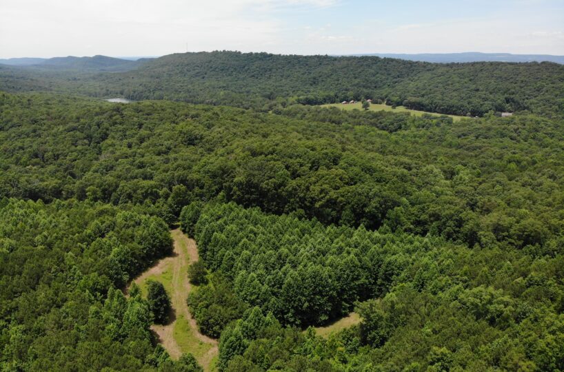 land for sale in Blount County Alabama