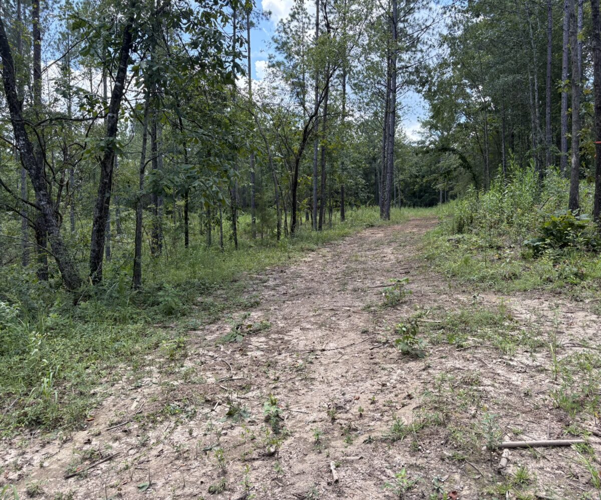 land for sale in Shelby County Alabama