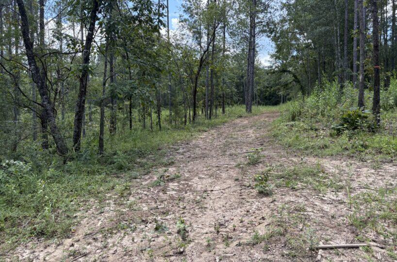land for sale in Shelby County Alabama